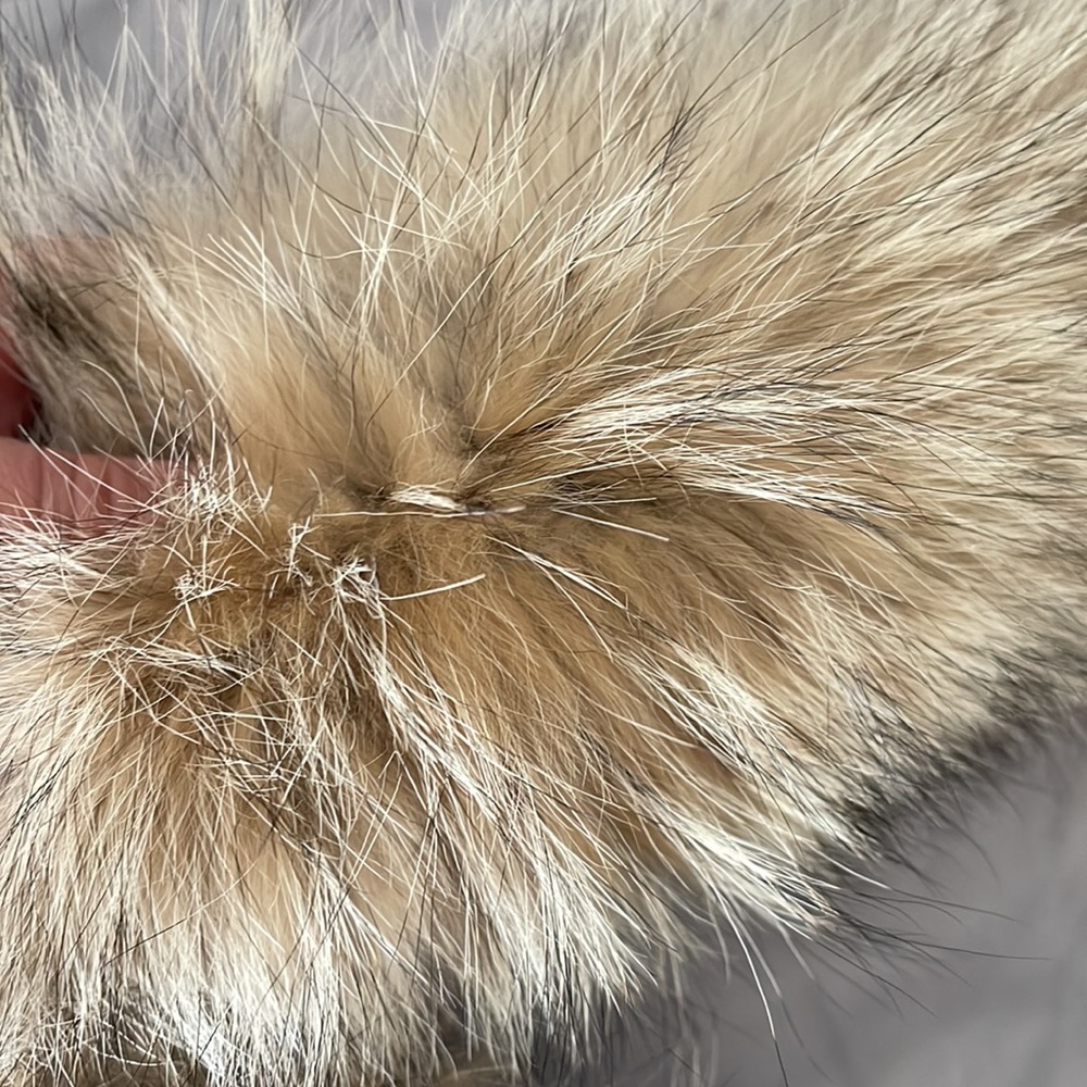 ❤️ Gorgeous Authentic Canada Goose Ruff ♥️ - Picture 3 of 10